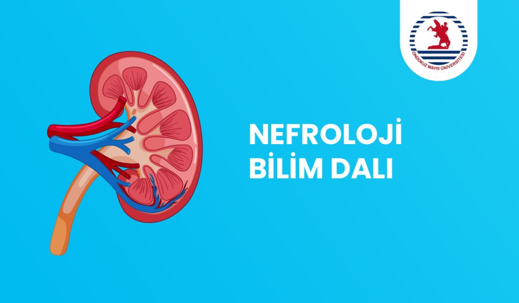 Nefroloji