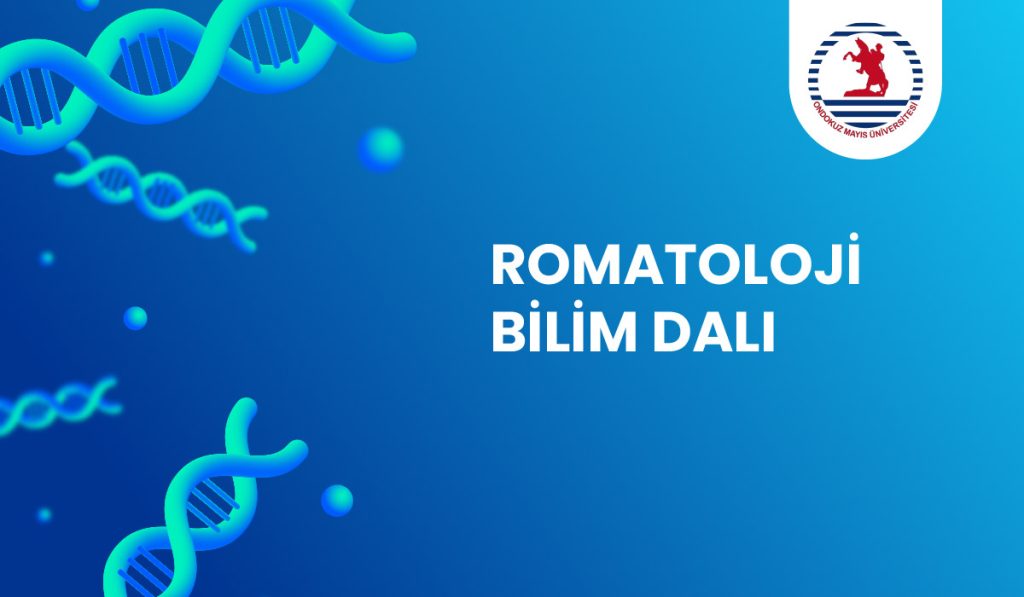 Romatoloji (İç Hastalıkları)