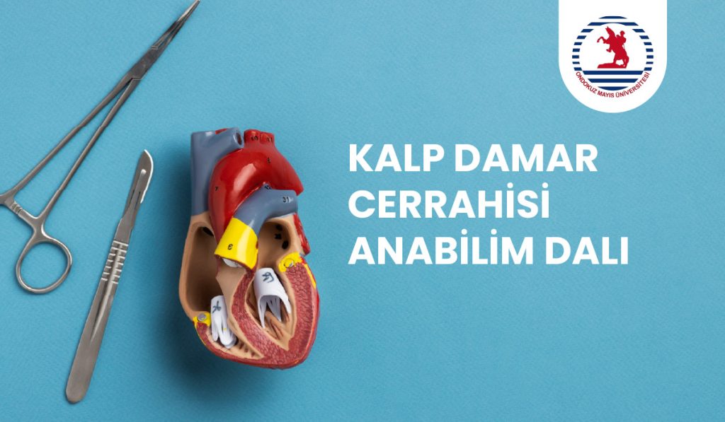 Kalp ve Damar Cerrahisi