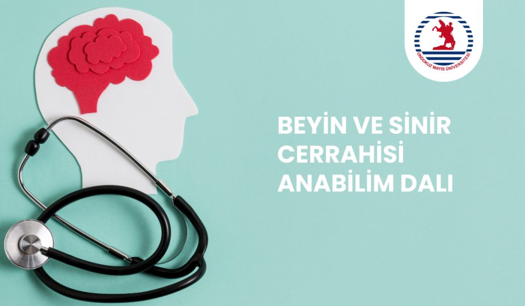 Beyin ve Sinir Cerrahisi